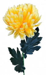 Krizantém a száron Exkluzív sárga 60cm művirág
