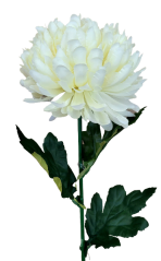 Crizantemă pe o tulpină Exclusive 70cm crem flori artificiale