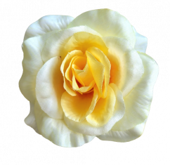 Růže hlava květu 3D O 10cm žlutá umělá