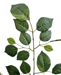 Ramoscello decorativo Faggio 67cm artificiale