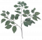 Dekorációs gally nyír 58cm zöld művirág