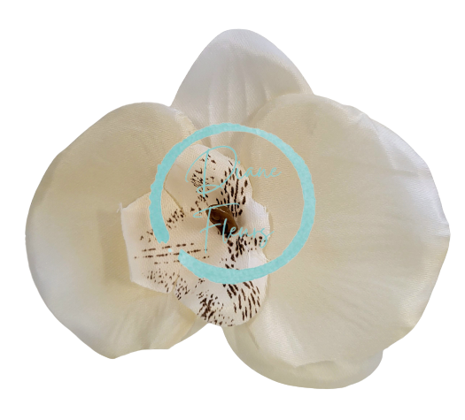 Orchidea hlava kvetu10cm x 8cm béžová umelá - cena je za balenie 24ks