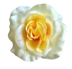 Artificial Rose Head 3D O 3,9 inches (10cm) Yellow