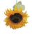Artificial Sunflowers