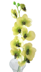 Luxuriöse künstliche Orchidee x9 Grün 95cm Silikon, Gummi