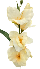 Künstliche Gladiole klein 52cm Pfirsich