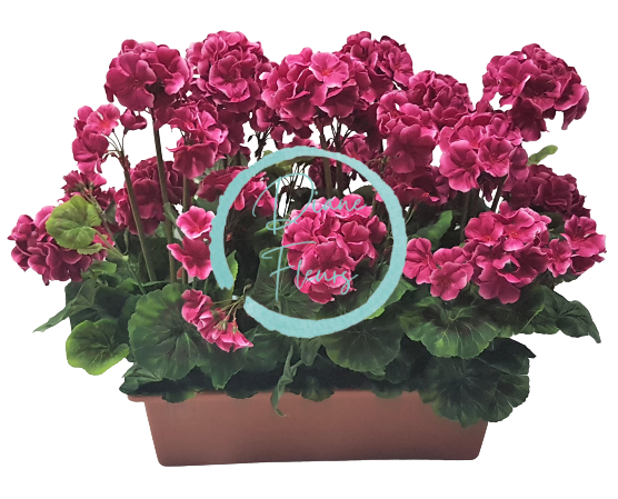 Umelý Muškát Pelargónia v truhlíku 40cm x 35cm x výška 45cm tm. ružová