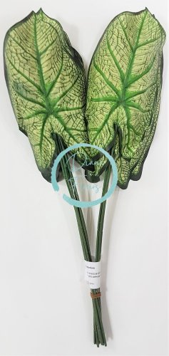 Caladium leaf green 46cm / cena za 1 umet