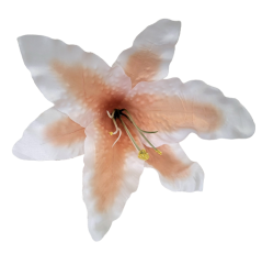 Lalia hlava kvetu Ø 16cm biela, oranžová umelá