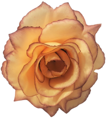 Ruža hlava kvetu O 10cm peach & vínová umelá