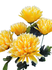 Artificial Chrysanthemums x5 Bouquet 50cm Yellow - Best price
