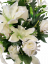 Künstliche Rosen und Lilien Strauß x18 62cm Creme