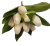 Künstliche Tulpenstrauß x9 Creme 33cm