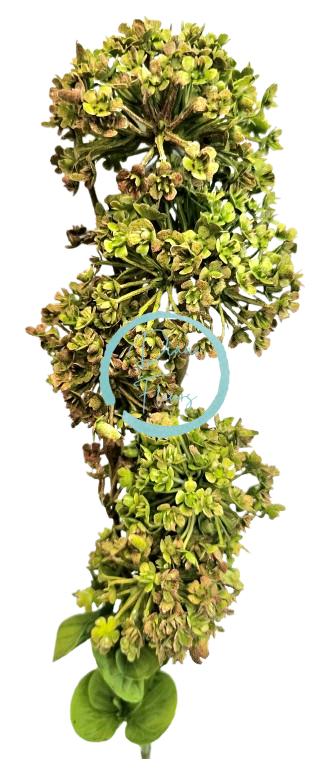 Dekorace přízdoba zeleň umělá 60cm zelená