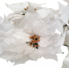 Poinsettia Vianočná ruža kytica x5 50cm biela umelá