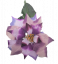 Božična zvezda Euphorbia Poinsettia 73cm vijolična umetna