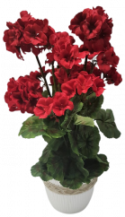 Umělý Muškát Pelargonie v květináči O 25cm x výška 49cm červená zátěžový aranžmán