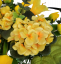 Trauergesteck aus künstliche Tulpen, Lilien, Veilchen und Zubehör 60cm x 40cm x 20cm