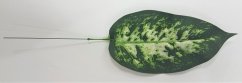 Diefenbachia levél zöld, 37cm művirág