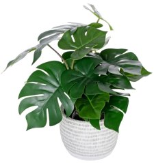 Umjetna Monstera u saksiji 40cm