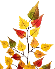 Ramoscello decorativo Betulla artificiale autunnale 67cm