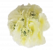 Glava hortenzije O 16cm krema umjetna