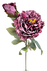 Pivoňka kusová sušená Exclusive 1+1 66cm umělá fialová