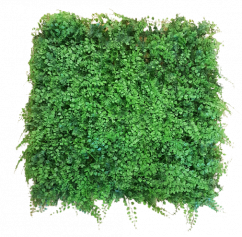 Dekorácia umelý trávnatý koberček papraď 50cm x 50cm