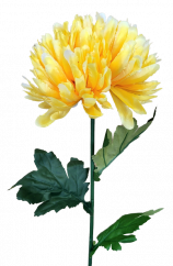 Crizantemă pe o tulpină Exclusive 70cm galben flori artificiale