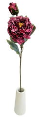 Posušena potonika Exclusive 1+1 66cm umetna bordo