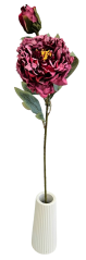 Posušena potonika Exclusive 1+1 66cm umetna bordo