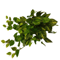 Dekorációs gally zöld Pothos 59cm