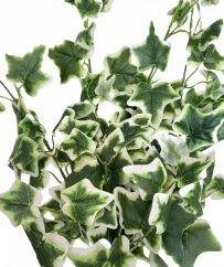 Dekoracija grančica zelena umjetna biljka bršljan šareni list 58cm