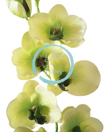 Luxusní umělá orchidea x9 zelená 95cm silikonová, gumová
