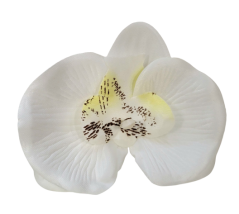 Cap de floare de orhidee 10cm x 8cm alb flori artificiale - pretul este pentru un pachet de 24 buc