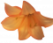 Lilie hlava květu O 14cm Oranžová umělá
