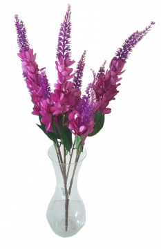 Umjetna Vrbica (Lythrum salicaria) - Color - roz
