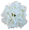 Hortenzia hlava 18cm umelá biela