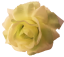 Künstliche Rosenkopf O 10cm Mint