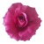 Artificial Rose Head Ø 13cm Purple