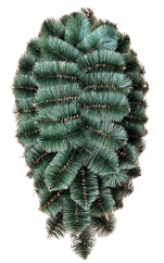 Věnec prázdný borovicový "Slza velká"  95cm x 50cm - krásné umělé jehličí