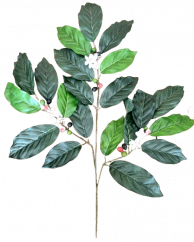 Decorare crengută planta de cafea 58cm verde flori artificiale