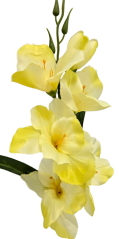 Künstliche Gladiole klein 52cm Gelb