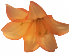 Cap de floare de crin O 5,5 inches (14cm) Portocaliu flori artificiale