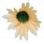 Chryzantéma hlava květu Ø 10cm broskvová umělá