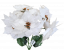 Artificial Poinsettia Bouquet x5 50cm White