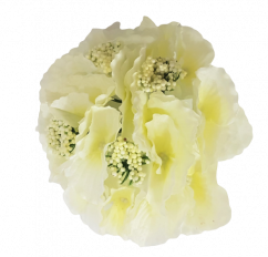 Cap de floare de hortensie O 16cm bej flori artificiale