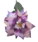 Mikulásvirág Euphorbia Mikulásvirág 73cm lila művirág