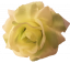 Ruža hlava kvetu O 10cm mint umelá