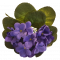 Künstliche Violette Blume Dunkelblau 23cm